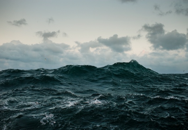 Corey Arnold (Portland, OR) The North Sea, 2010 20 x 29 inches Chromira C-Print From the series Fish-Work: Europe Courtesy of the artist and Charles A. Hartman Fine Art
